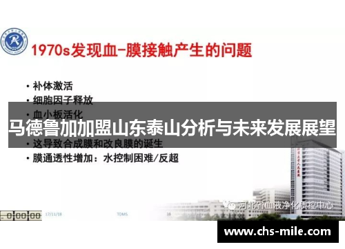 马德鲁加加盟山东泰山分析与未来发展展望