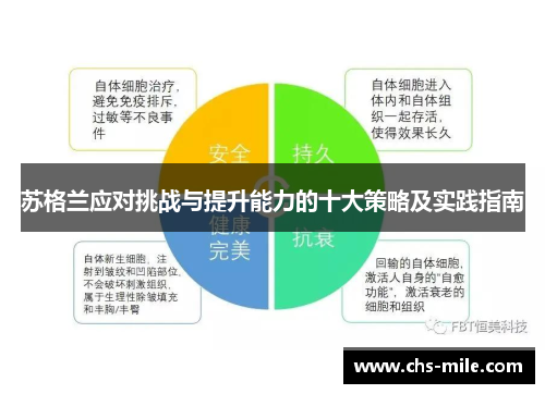 苏格兰应对挑战与提升能力的十大策略及实践指南