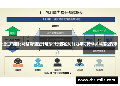 通过精细化财务管理提升足球俱乐部盈利能力与可持续发展路径探索 通过精细化财务管理提升足球俱乐部盈利能力与可持续发展路径探索