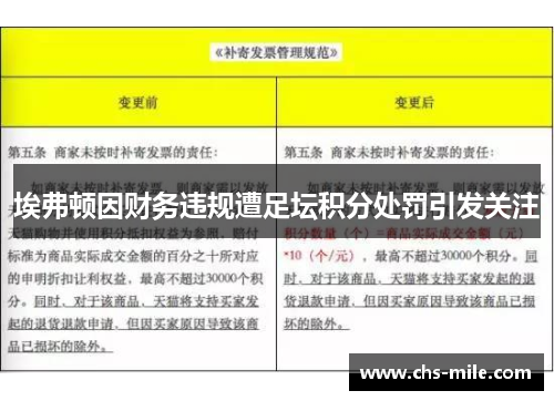 埃弗顿因财务违规遭足坛积分处罚引发关注 埃弗顿因财务违规遭足坛积分处罚引发关注