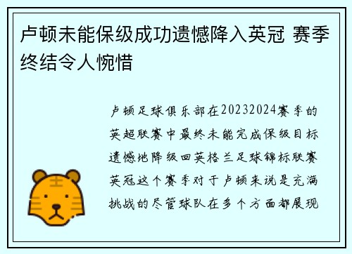 卢顿未能保级成功遗憾降入英冠 赛季终结令人惋惜 卢顿未能保级成功遗憾降入英冠 赛季终结令人惋惜